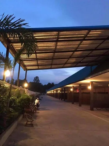 รูปภาพของต้นปาล์มรีสอร์ท