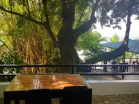 Blue Ribbon Dive Resort Hotels in Mabini