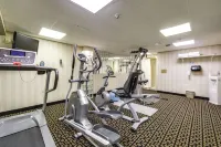 Monte Carlo Inn Oakville Suites - Fitnessstudio