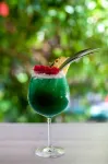 Los Corales Beach Village Punta Cana - the Original - bar