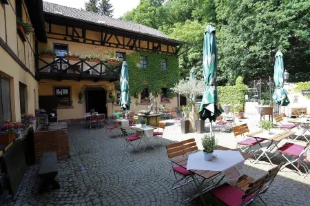 Landhotel Burkartsmühle Отели в г. Эпштайн