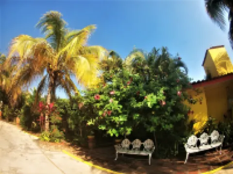 Quinta Comala Hotel & Villas Hotels in Comala