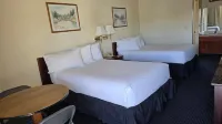 Terrace Inn and Suites Hotels in Richmond