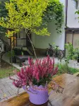 Grand Boutique Hotel