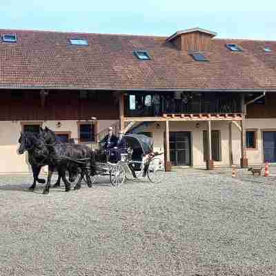 Hotel du Domaine Saint Loup Hotel Exterior