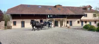 Hotel du Domaine Saint Loup Hotel a Uffholtz