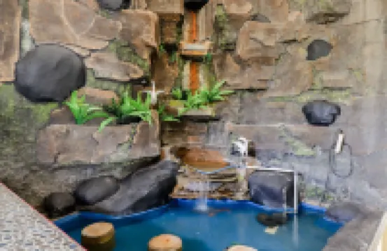 Dewisri Homestay Hotels in Pajangan