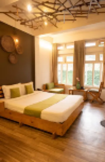 The Living Roof Hotels in 