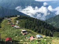 Evaland Glamping Resort - Apartments