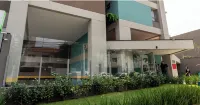 查理旺德布魯克林