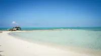 Small Hope Bay Lodge Hotels in Andros Town