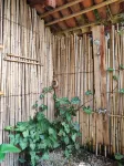 Inzu Lodge