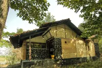 Spree Maati Jungle Resort