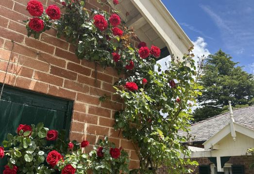 카툼바 시닉 월드