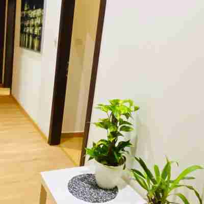 Prague Service Apartment - Central Square Location Others