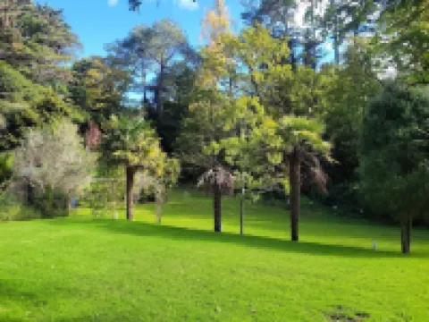 Dickson Holiday Park Hotels in Thames