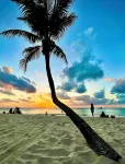 Oceanside Villa "Campeche" with a/c pool in centro     5 min stroll to beach - Villas