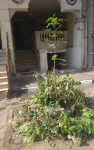 Lovely 2bdrms mnyl roda island near all services& nr dwntown Cairo aprtment 145m Hoteller i Old Cairo