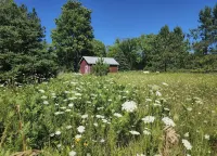Quiet cabin close to everything, yet in the middle of nowhere<br>