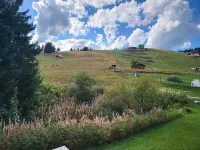 Location 4pers. au Coeur du Massif des Aravis Hotels in Manigod