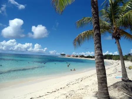 Pretty T3 sea view in Saint-Anne