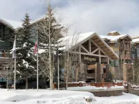 Ski In/Out Harry Potter Villa w/Ski Run Views & Private Steam Shower! Отели в г. 