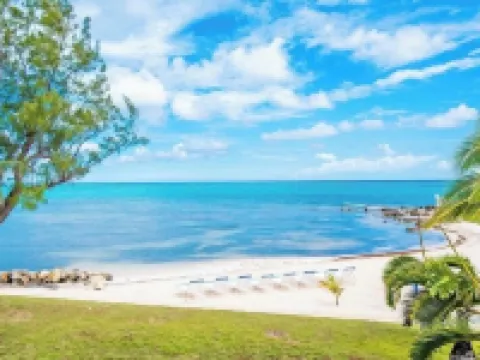 2023 Renovated The Retreat 17 Oceanview ground floor condo steps to ocean/beach Hoteles en Rum Point