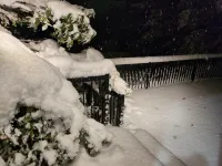 Cozy Castle Cottage on the doorstep of Waterton National Park & Castle Mountain. Hotels in Pincher Creek