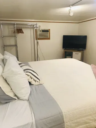 CADDO LAKE WATERFRONT on Big Cypress Bayou!