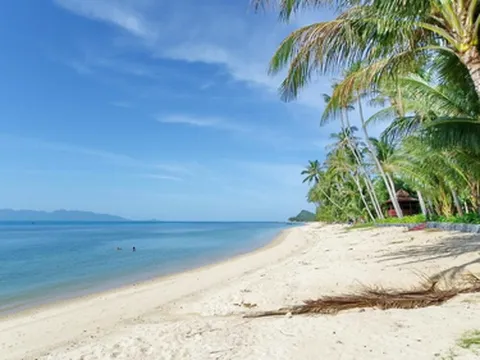 รูปภาพของStunning sea view over the Bang Por bay
