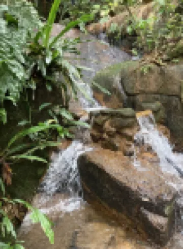 Chalés Individuais no pé da Mata Atlântica, Entre Ubatuba e Paraty 3