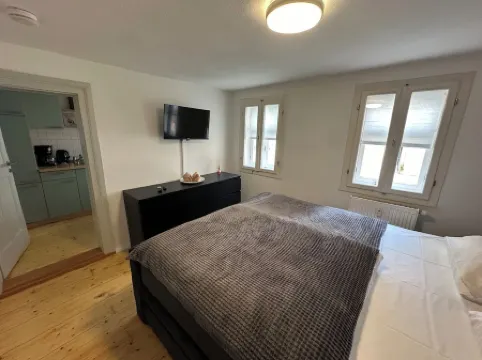 Stay overnight in the historic Eckermannhaus - Classic Apartment