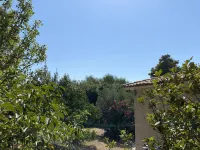 Sea View Villa in Capo Vaticano - Relaxation, Sunsets & Sea Around Tropea Hotels in Capo Vaticano