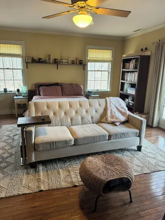 Lovers Lane FarmStay on a working family farm. Horses, cows, sheep, bees & more