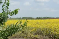 Attractive 4p apartment in Westkapelle at sea