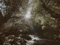 Country house by the river, with pool and total privacy 비아나도카스텔로 호텔