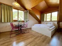 Central Beauty Scenery Apartment