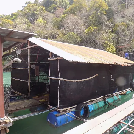 Terapung Hotel & Fish Garden