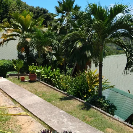 Mango Lodge