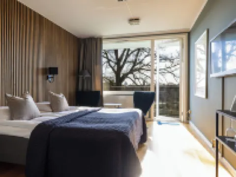 阿爾伯特科克酒店與會議中心 特羅爾海坦酒店