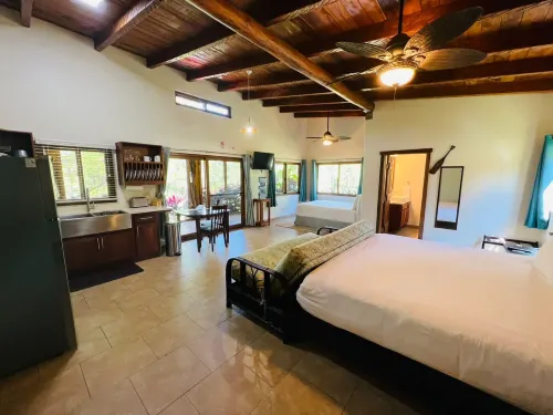 Kane Villas - Mountain Pine Ridge - Mountain view
