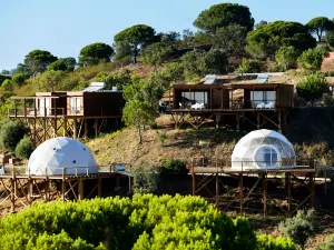 生態套房度假村