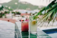The Pink Palm Hotel - Adults Only - Barer