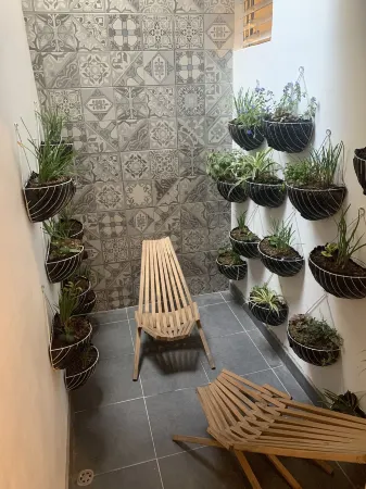 Palmira Hostel Отели в г. Тегусигальпа