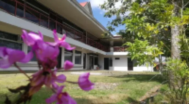 Hotel Brisas Del Volcán Platanar