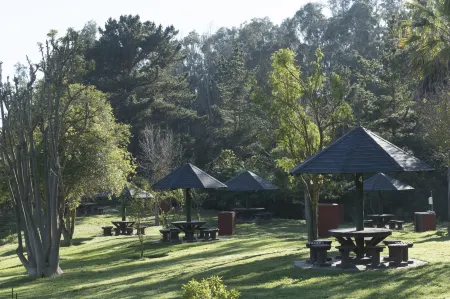 Hotel y Cabañas Huallilemu Sur- Caja Los Andes Отели в г. Мирасоль