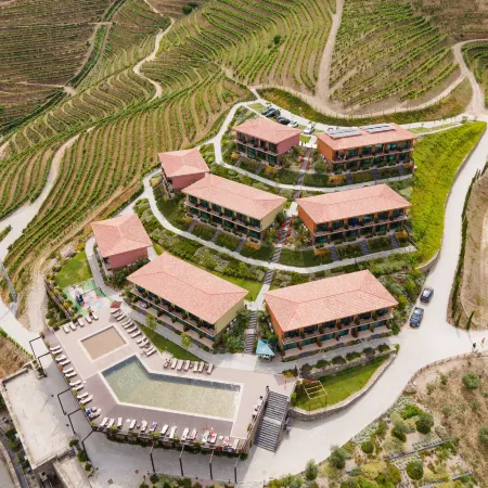 Vila Gale Douro Vineyards