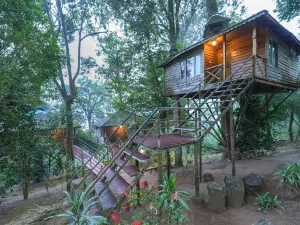 Nature Zone Jungle Resort