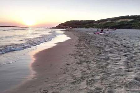 Holiday apartment near Rome - panorama terrace, Sea view -  garden, olive grove Отели рядом с достопримечательностью «Professional Growing Grow Shop a Genzano di Roma (RM)»