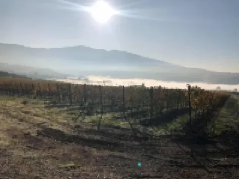 AZIENDA AGRICOLO IL POGGIOLINO Hotels in Pelago